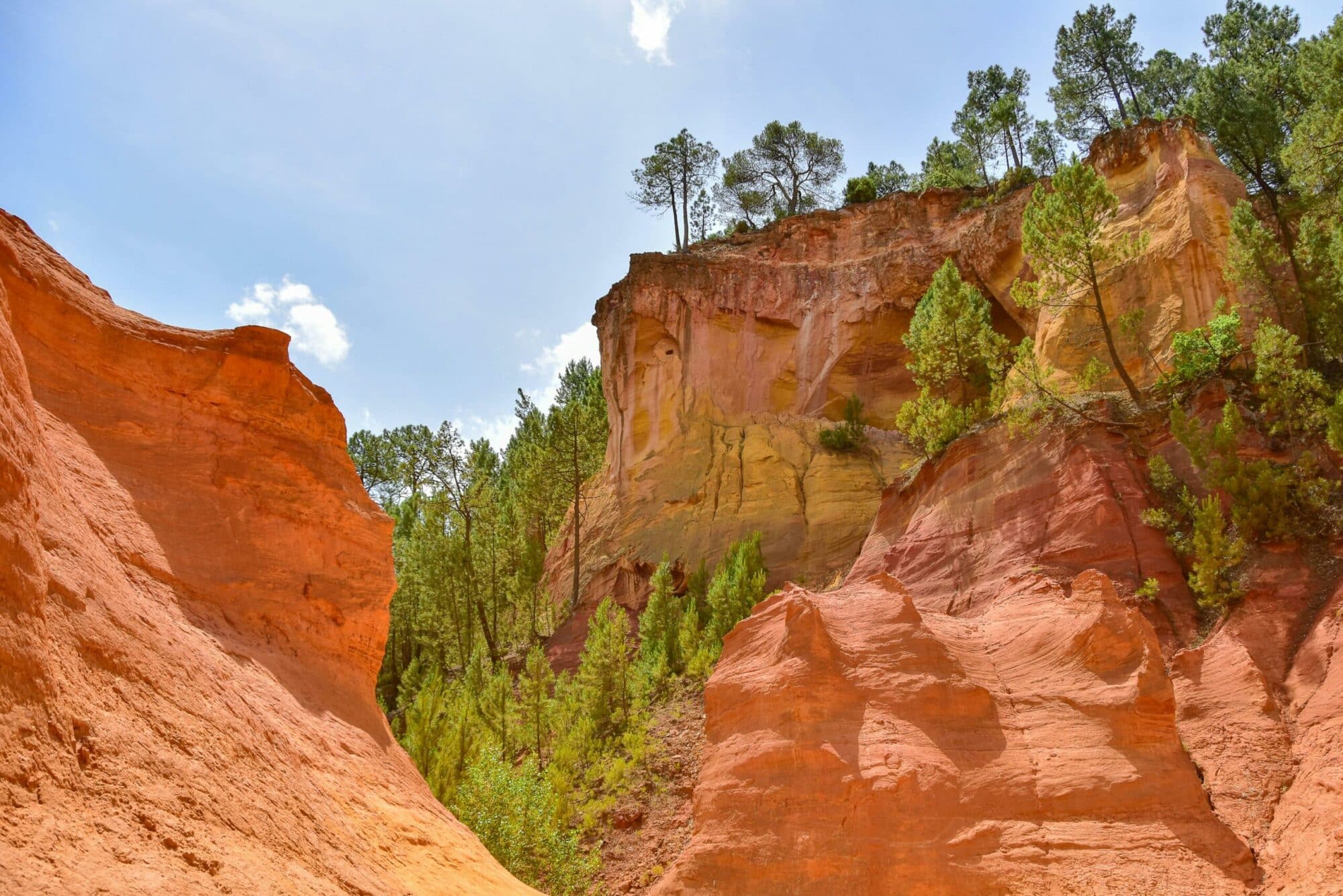 Falaises d’ocre de Roussillon Falaises d’ocre rouge et orange surmontées de pins parasols, au sentier des ocres de Roussillon, dans le Luberon